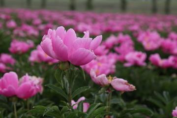 发朋友圈精美短句大全 有感情的短句发朋友圈
