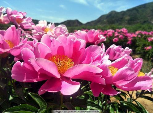 企业文化宣传标语
