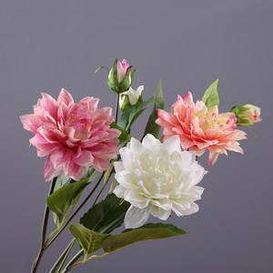 三八妇女节走心祝福文案