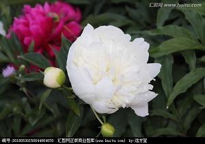 璗