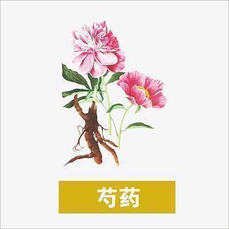 半夜牙疼睡不着的说说(精选34句)