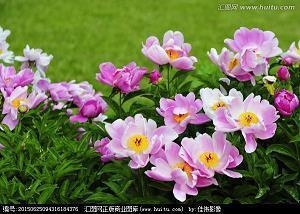 描写小巷的句子及照片
