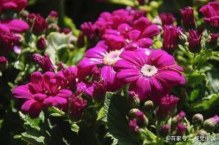 静谧时光唯美意境句子36条