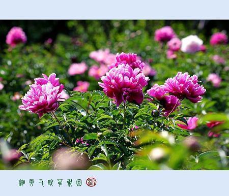 伤感孤单的句子 伤感孤单的句子说说心情
