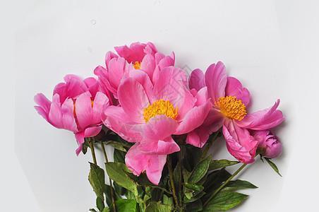祝领导端午节祝福语汇编80句