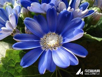 抖音吸引加粉点赞的句子  抖音里说到心坎的文字