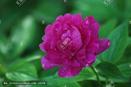 愚人节短信幽默祝福语大全