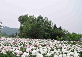 濴