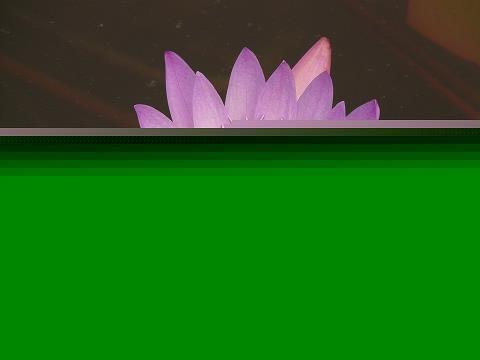 金匮