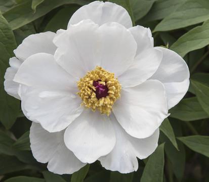感恩节感恩语(精选94条)