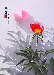 人物细节描写肖像句子摘抄21条