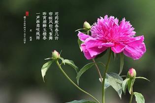 自取其祸