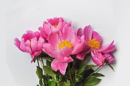 宝宝出生感言发朋友圈_写愉快心情的句子