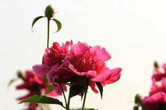 给孩子的生日祝福语大全