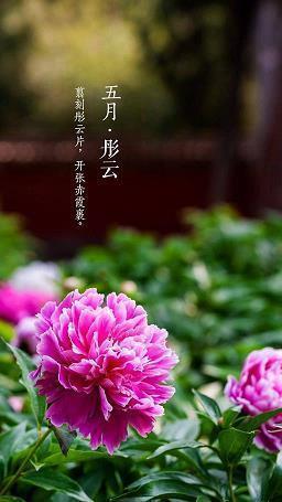 农具农具的拼音是什么