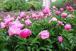 端午节出去玩发朋友圈的话 2021端午节旅游说说心情短语