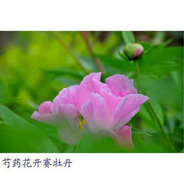 班级团结励志的句子(94句)