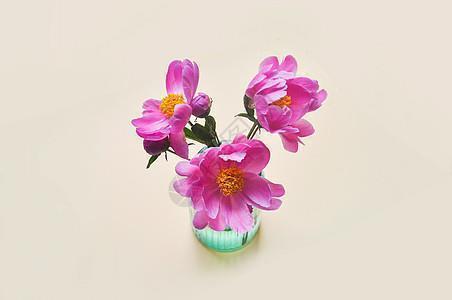 蒺