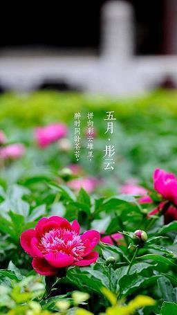 唯美古风生日贺词两句 生日祝福唯美古风版