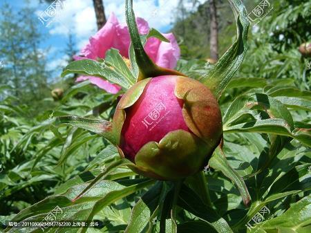 教官书信祝福语