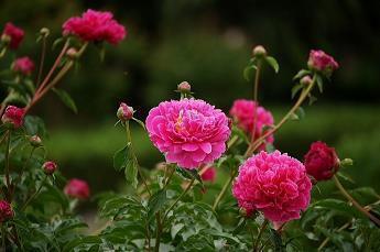 一年级梦想格言 一年级梦想格言大全