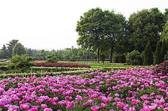 2021牛年元宵节送长辈的温暖祝福语