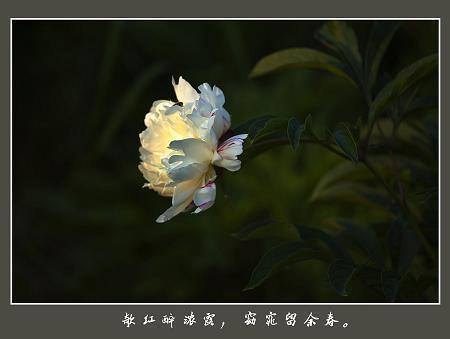 羁留