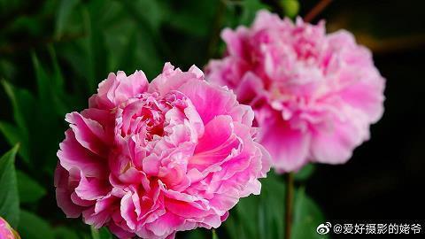 持之以恒的坚持的金句 鼓励学生持之以恒的句子(精选43条)
