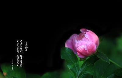 魏无羡语录短句