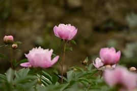 中秋节送给客户祝福短信