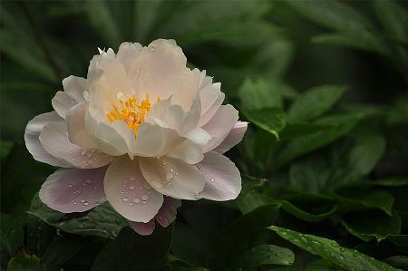 描写冬天四字词语_四字四字唯美句子
