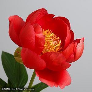如何正确对待孩子们的特长教育：因材施教，培养孩子多方面的才艺