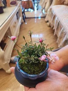 描写科技是第一生产力的句子27条
