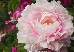 教师节祝福语录简单感动