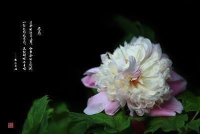 幼儿父亲节的祝福语精选49句