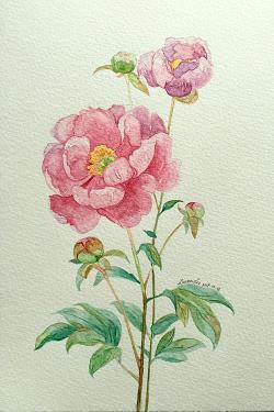 走进陌生