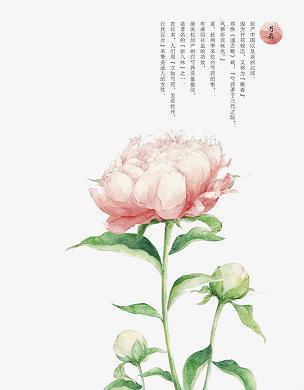 中秋节给客户祝福语简短精选(精选56条)