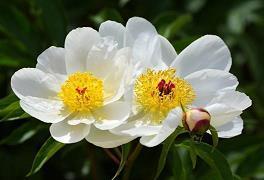 驻节