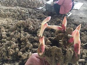 治愈系唯美短句说说大全45句