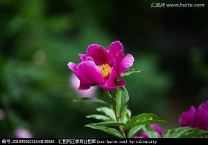 形容晚霞美丽的短句子