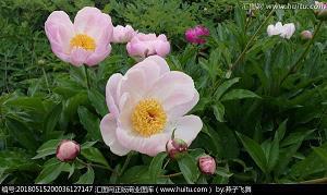 闵天