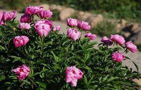 祝福小宝宝的有诗意的话 小孩生日祝福的有诗意的短句 愿