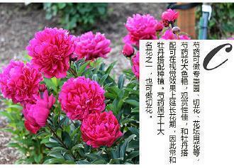 冬至的唯美句子说说 句句暖人心窝