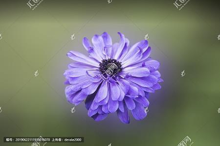 向老公表达爱意的句子 对老公表达爱的感动的句子