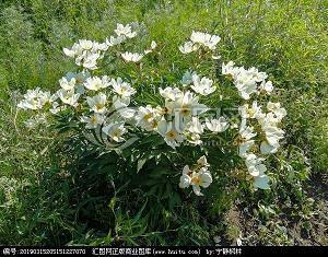 高中生作文环境描写句子22条