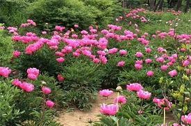 情人节发什么说说好 适合情人节发的朋友圈