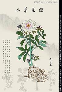 祝十八岁女孩生日祝福语(精选70条)