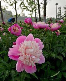 说说关于眼睛唯美句子44条