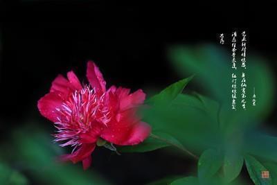 晚霞黄昏唯美句子