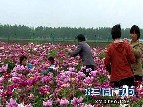 新学期寄语写给同学的一句话